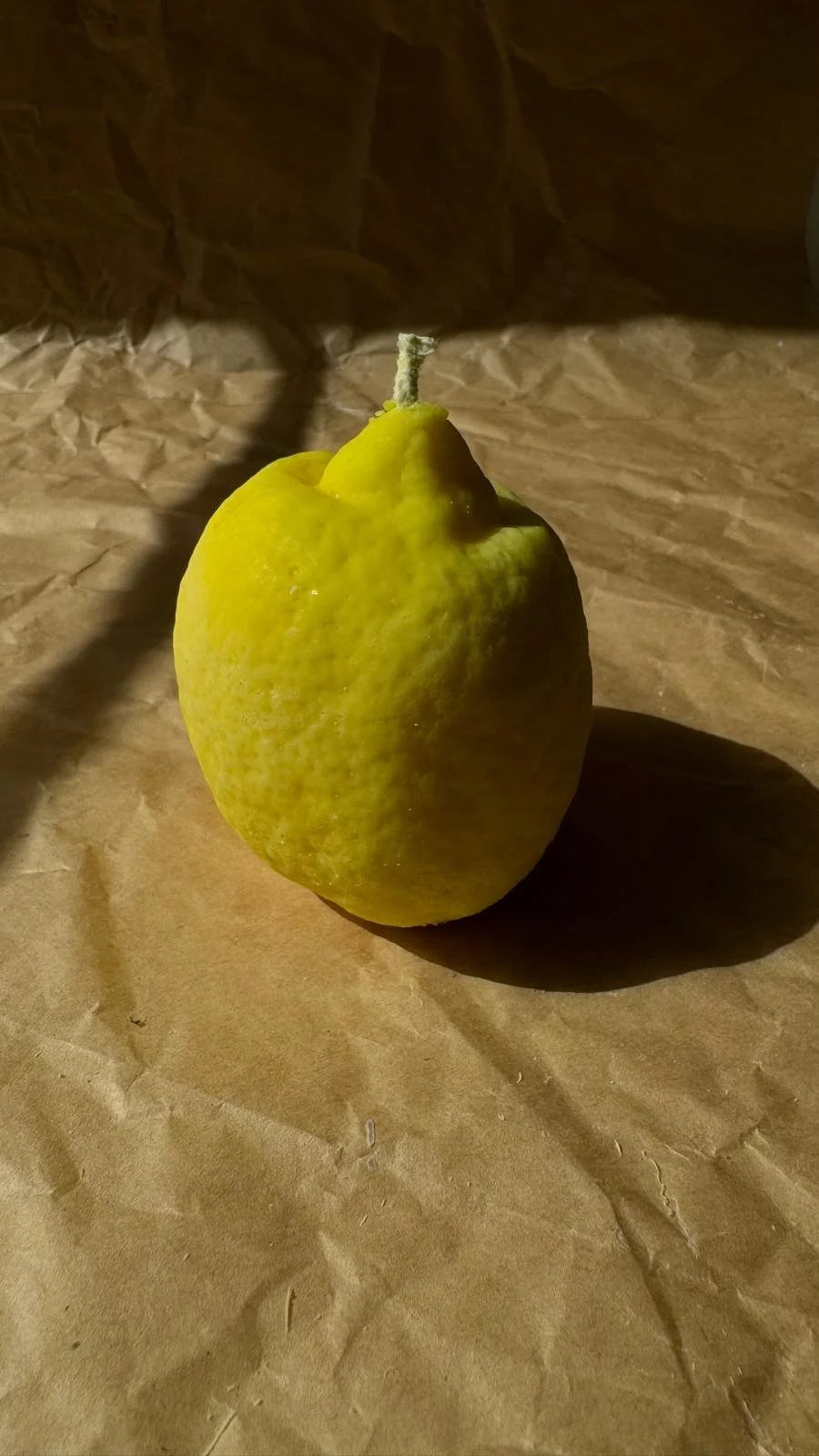 Citrona svece